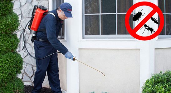 Ulubey Gümüşkurt İlaçlama böcek ilaçlama ve haşere kontrolü — ilaclama-tr.com